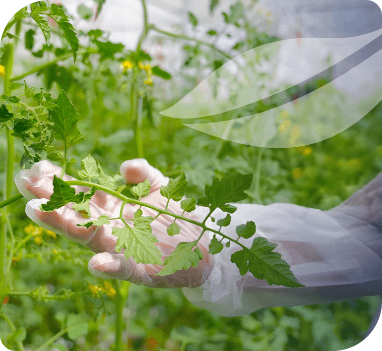 Greenhouse and sustainable farming